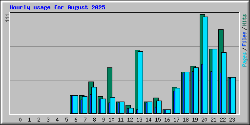 Hourly usage for August 2025