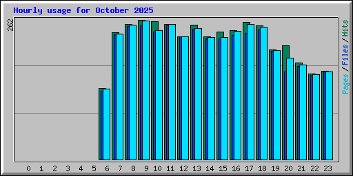 Hourly usage for October 2025