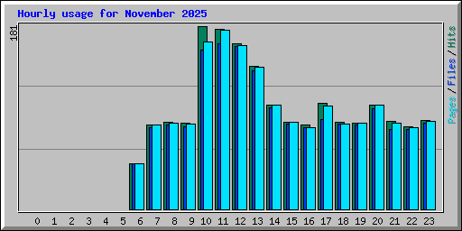Hourly usage for November 2025