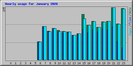 Hourly usage for January 2026